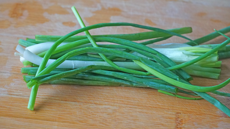 上班早餐不用愁，6款日常早餐，早起十分钟搞定，好做好吃又管饱