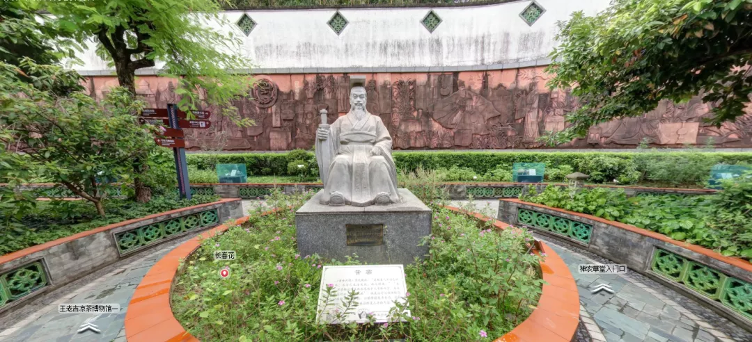 「广州科普一日游科普单位介绍18」神农草堂中医药博物馆
