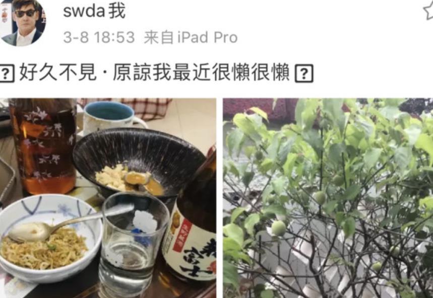 向佐当爸后低调晒幸福，头像换成一家三口合照，郭爸爸却情绪低落
