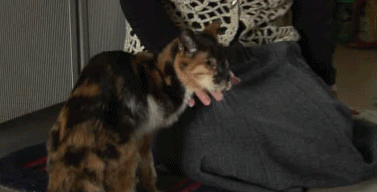 豆瓣9.0，风靡岛国十年，国民女神集体为它沦陷