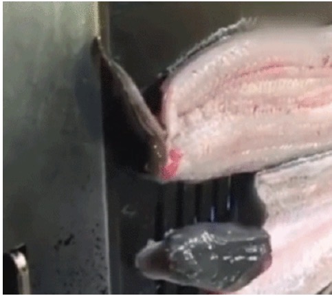 “人间水蜜桃”崔雪莉在娱乐圈到底经历了什么？你们永远都不会懂