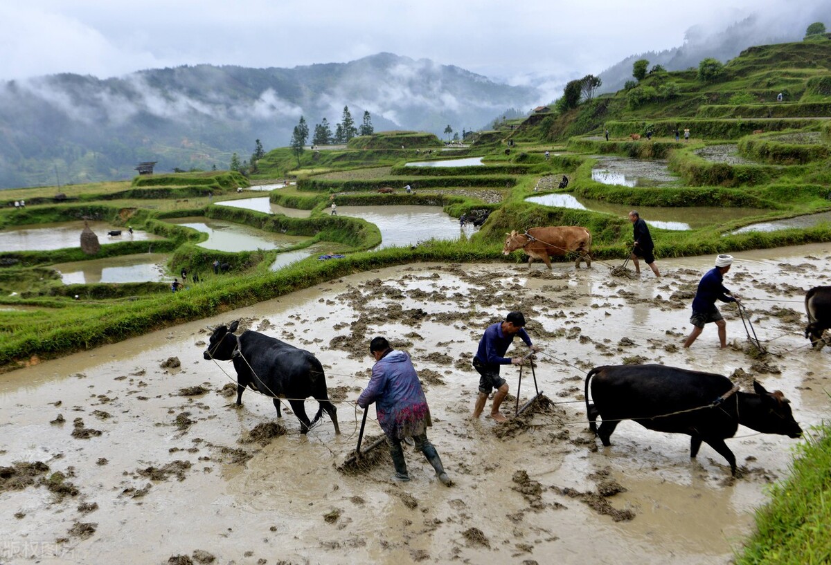 對遊牧民族和農耕民族的個人認識 鐵騎煙塵三萬裡 Mdeditor