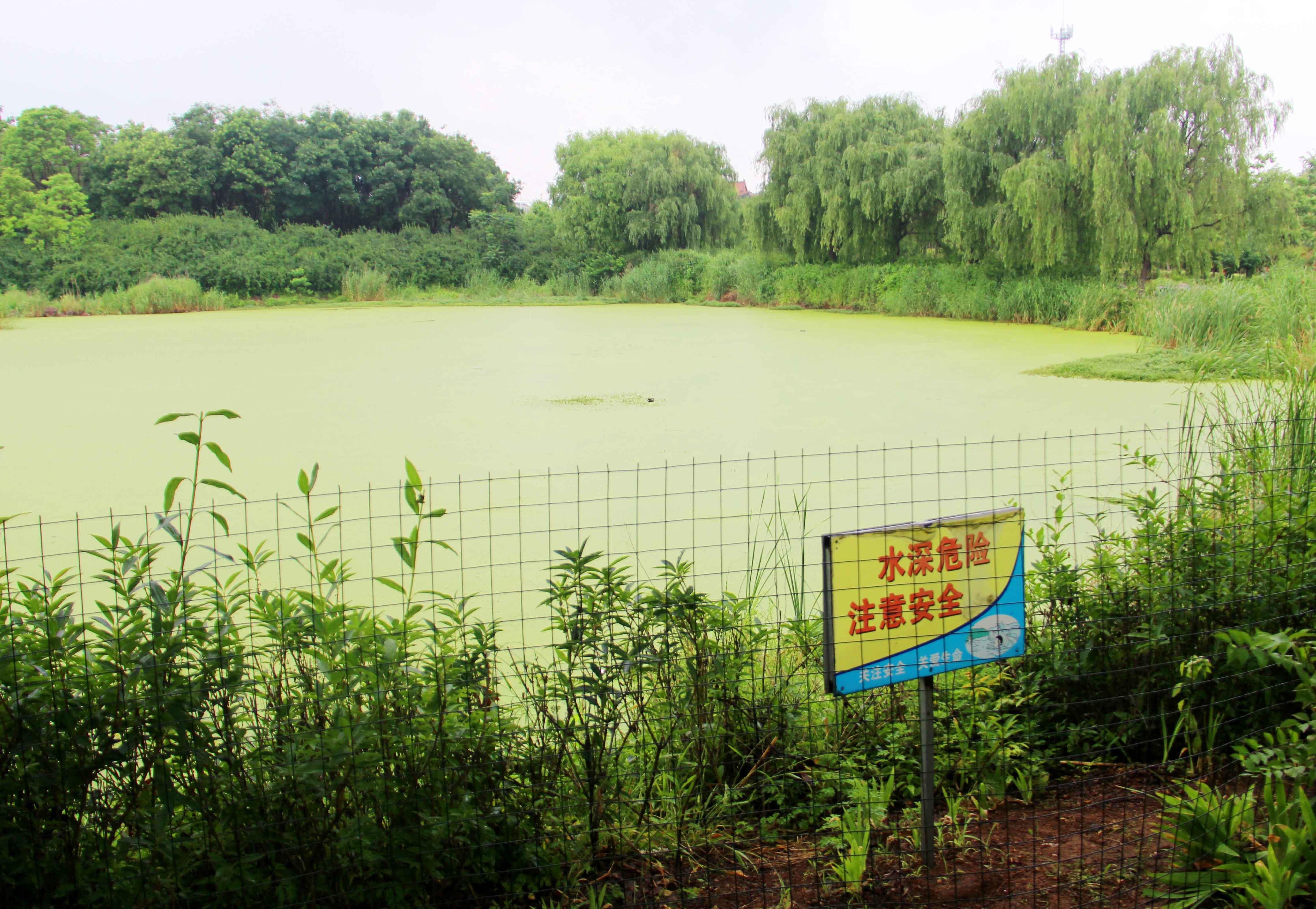临沭县综合行政执法局开展防溺水安全宣传志愿服务活动