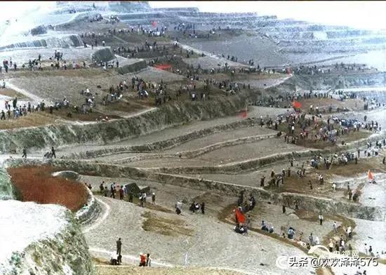 中国农业目前发展的发展方向