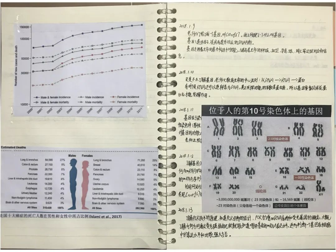 16岁日作诗2000首，小学研究癌症获奖，“神童”背后的真相太扎心