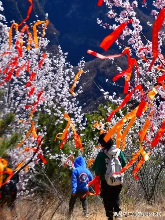 纯玩通天峡+千尺涧+七彩玻璃栈道2日游