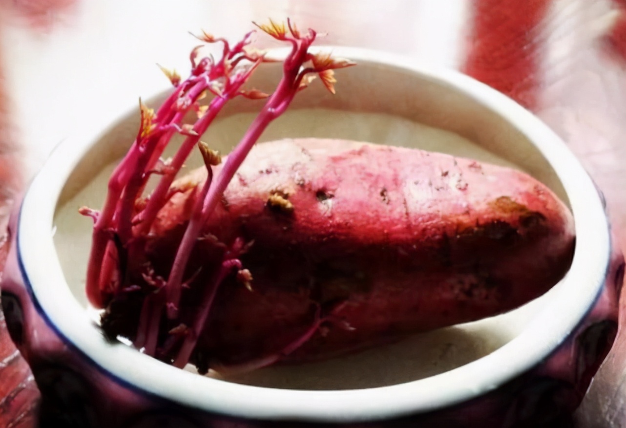 Potatoes, sweet potatoes, ginger and peanuts, can they be eaten after