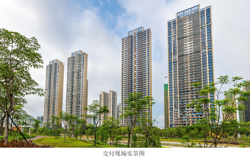 佛山院子收房业主：做好准备来的，还是被震撼到