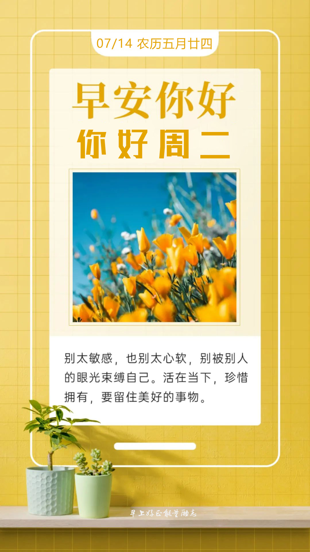 周二早晨好励志激励图片语句：今天，现在，就是最好的开始！
