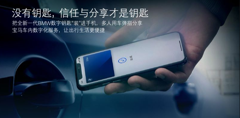大河报汽车网