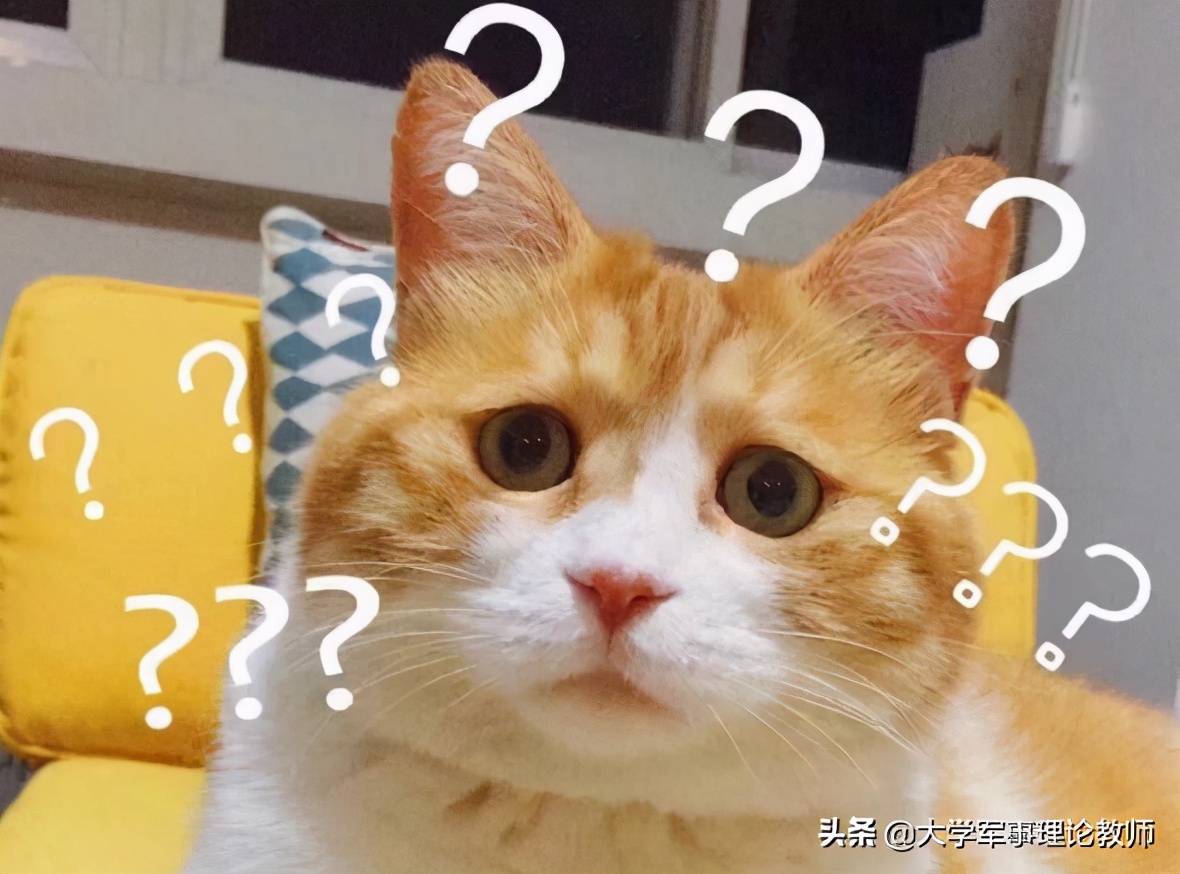 乾了這碗�毒雞湯�：�政治正確�下的美國亂象