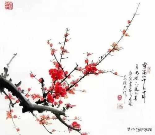 描写梅花的唯美诗句:一树寒梅白玉条，迥临村路傍溪桥图片