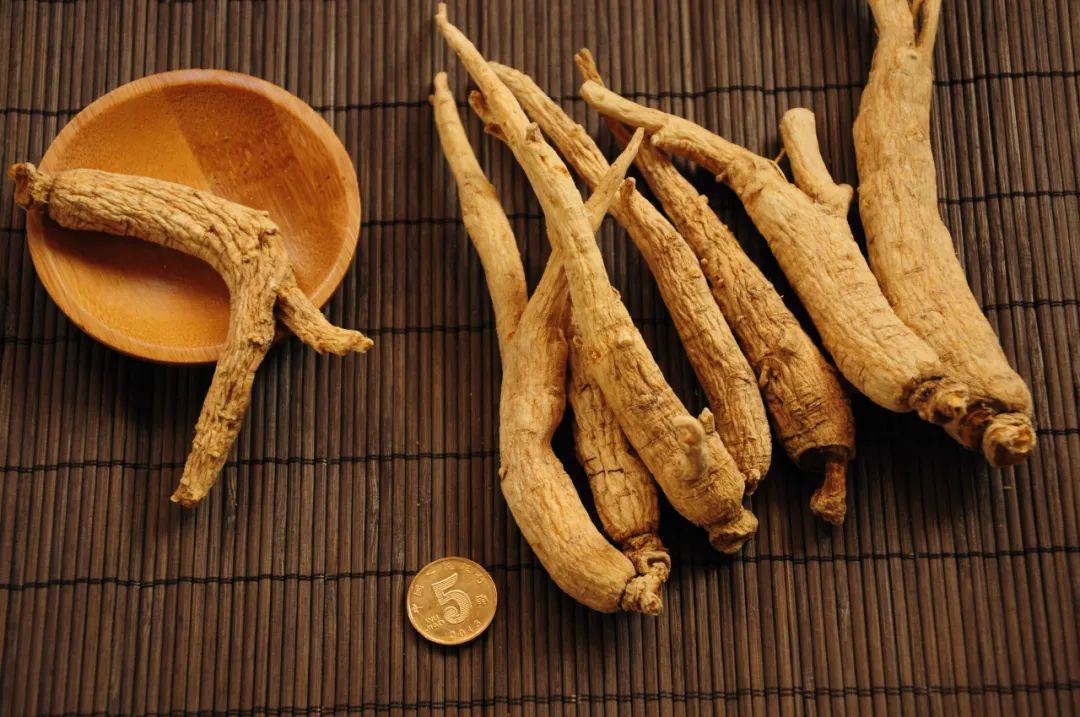 What are the similarities and differences in the medicinal properties