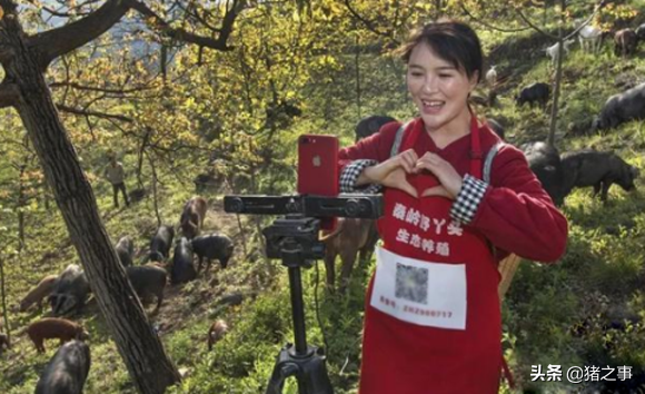 厉害！90后美女放弃城市工作，回家养黑猪，收入