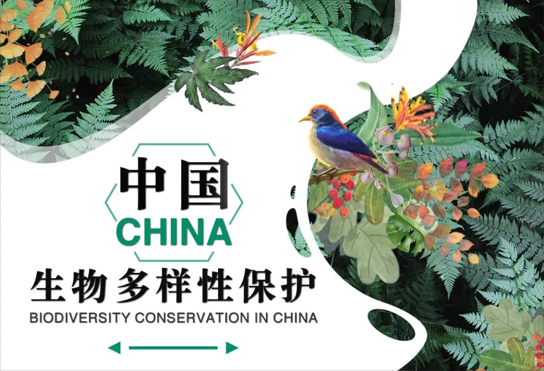 林草科普|中国生物多样性保护 - 重庆林业篇