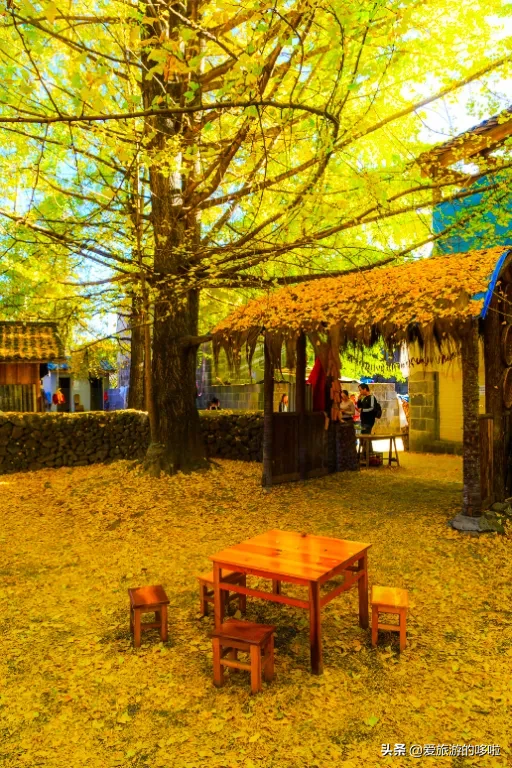 The best place to travel in October-November, the late autumn tour bus is about to depart