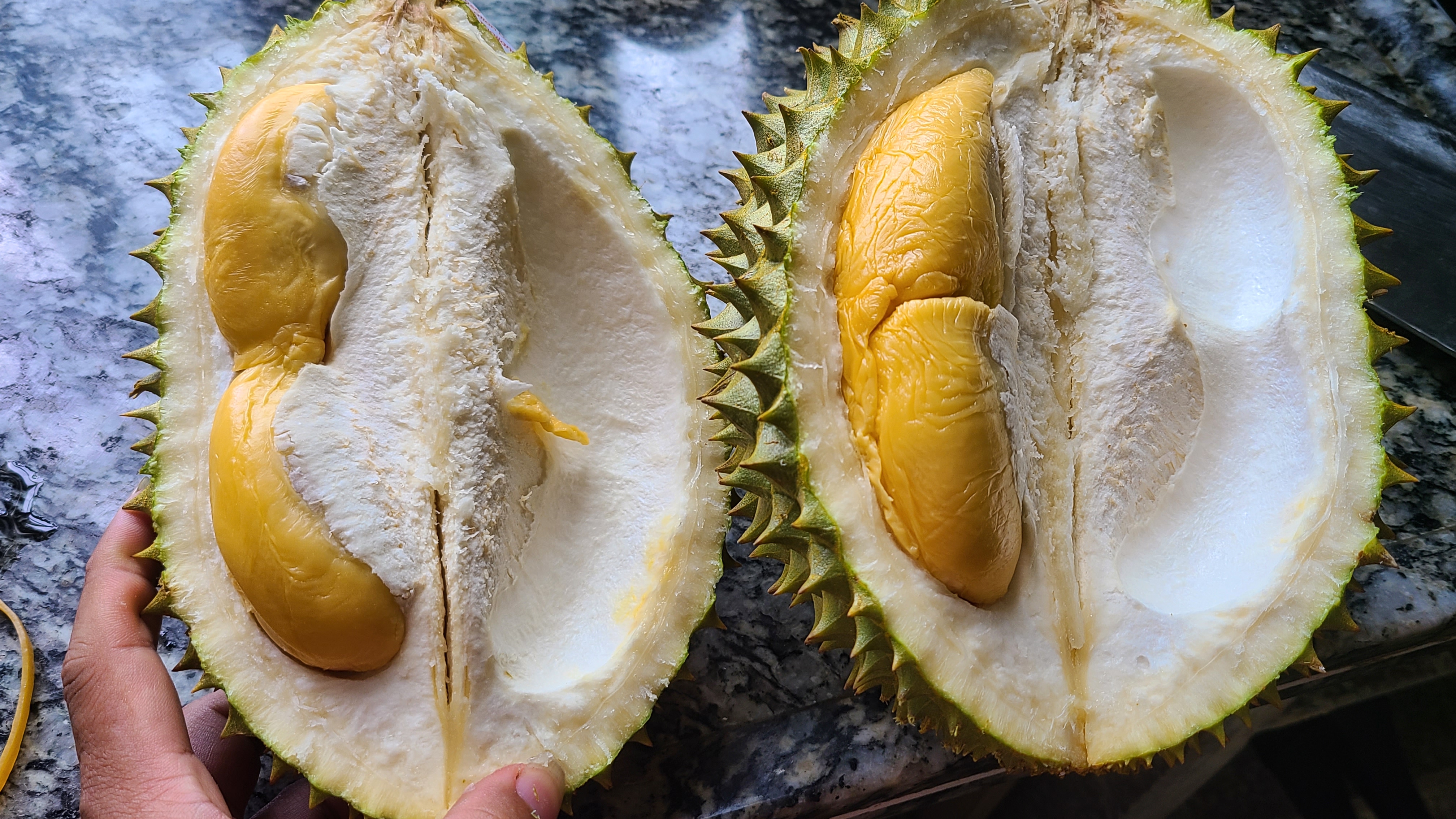 榴莲炖鸡，广东夏天很常见的一道美食，好喝简单，味道特别