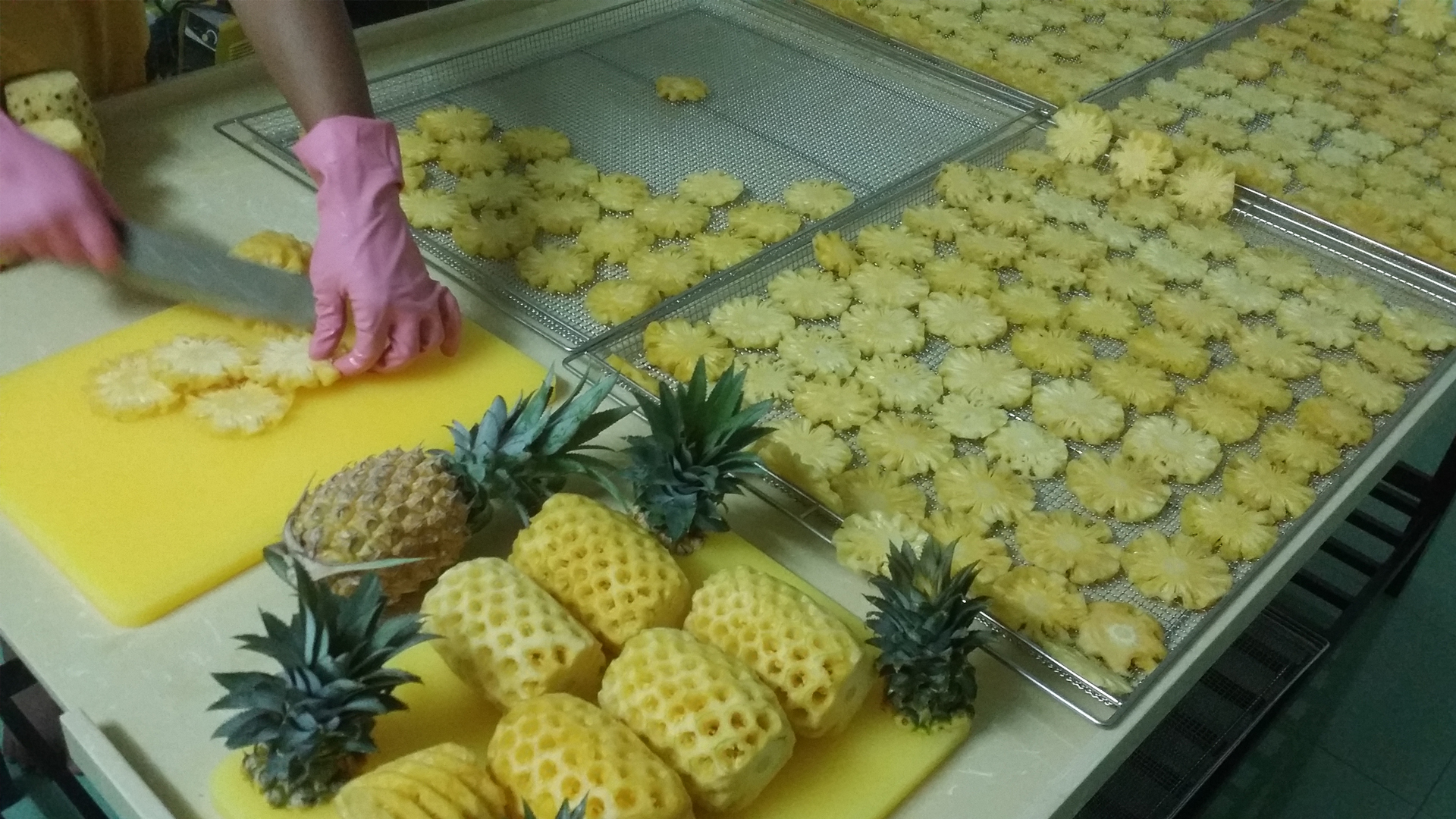 不知感恩還鬼扯？ 去年僅112斤菠蘿幹賣到澳洲，蔡英文謊言被戳穿