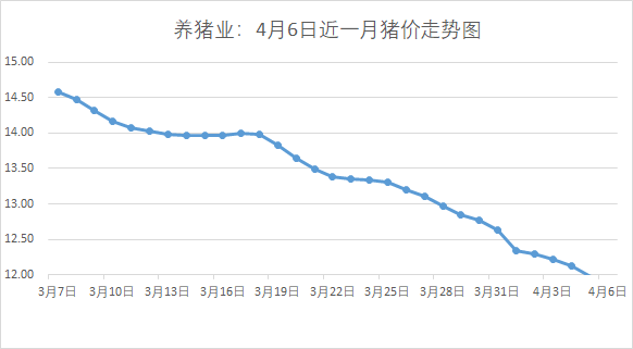 4月6日全国最新生猪价格，大部下跌，东北有涨、短期或再跌