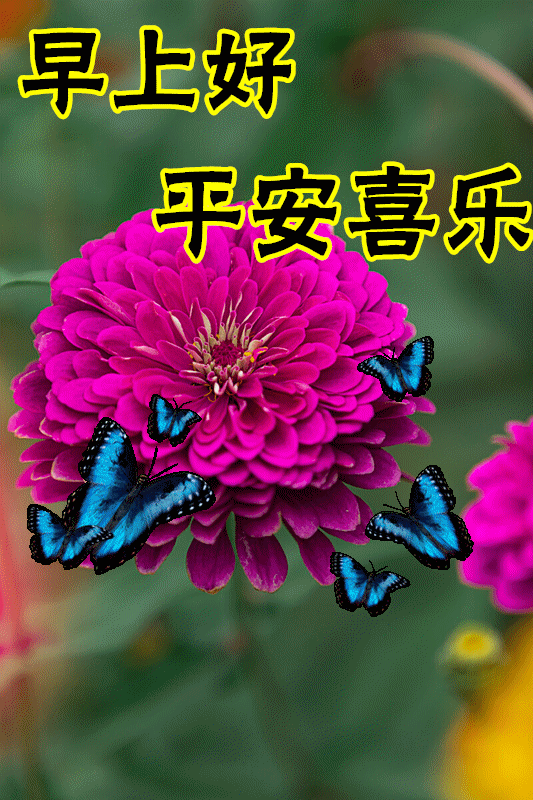 2021最新早上好图片 问候语表情包图片