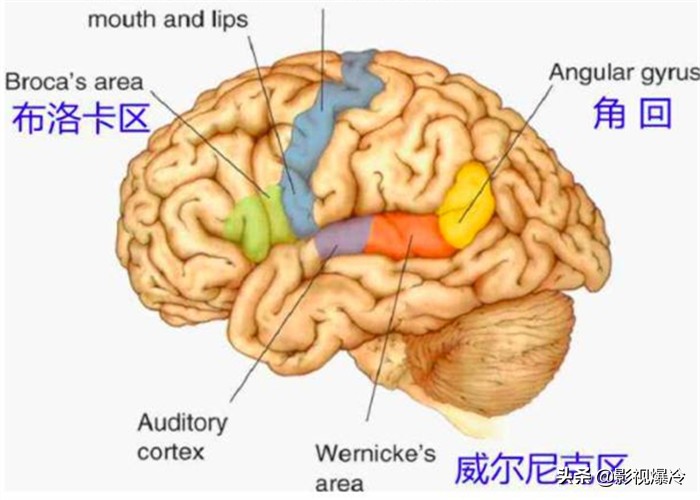 默读时，脑袋里会出现说话的声音，这个声音是