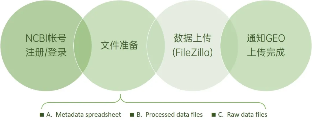 单细胞数据上传GEO操作指南