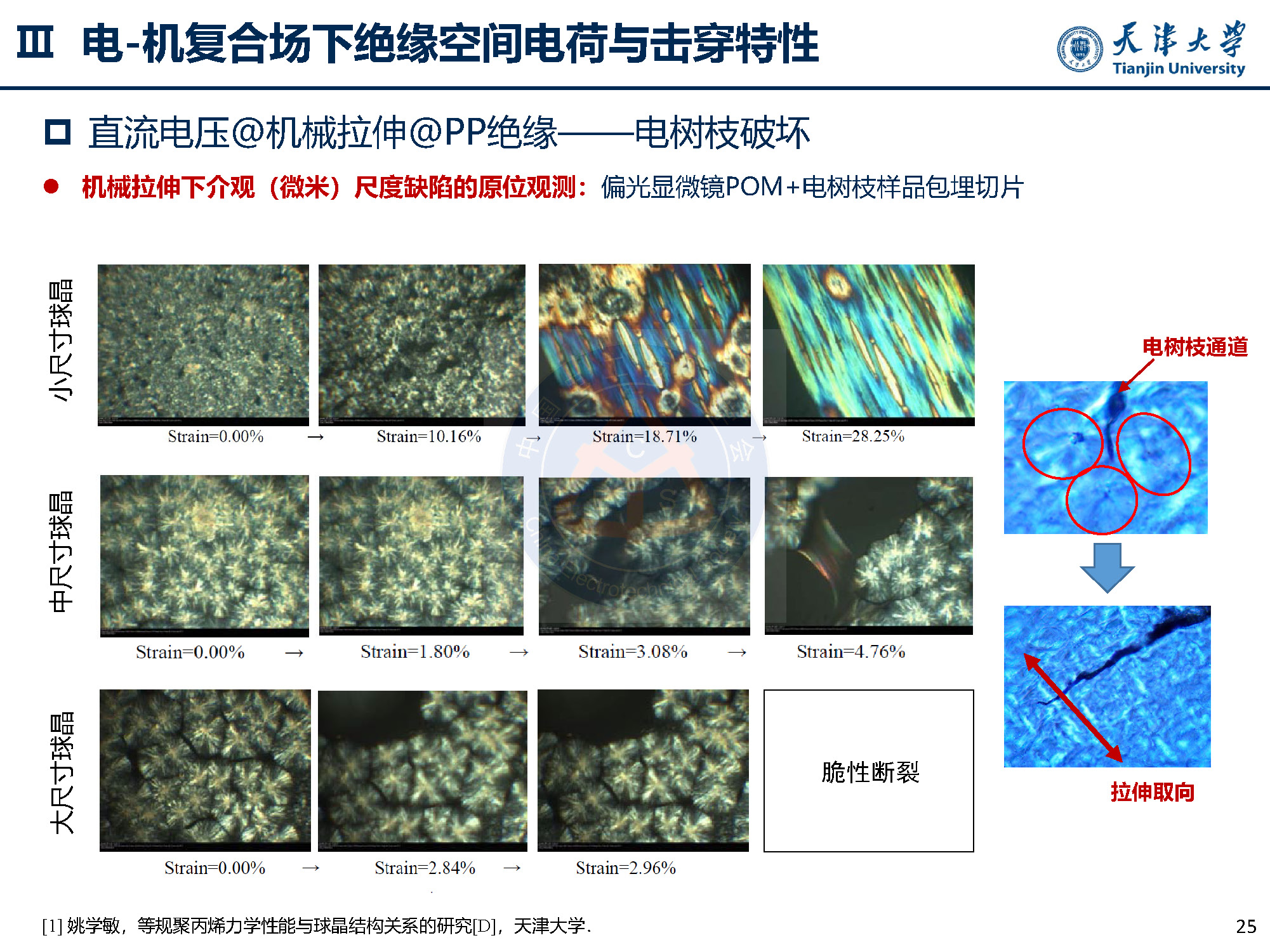 天大李忠磊副教授：多物理场下直流电缆绝缘电荷输运与击穿特性