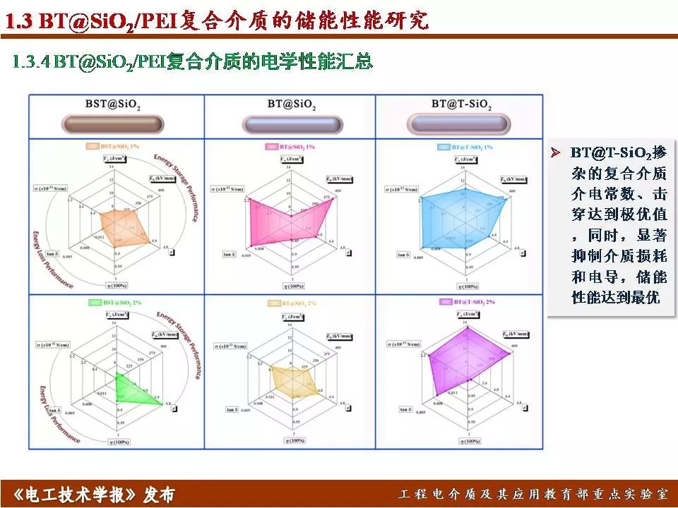 哈尔滨理工大学迟庆国：储能型聚合物基绝缘介质的效率与密度优化