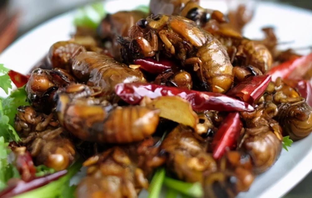 Deep-fried golden cicadas, you will be wrong if you fry them first. I ...