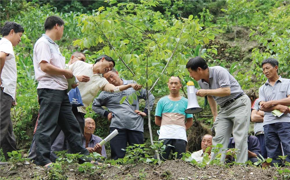 汉滨：村干部趋向年轻化、高学历