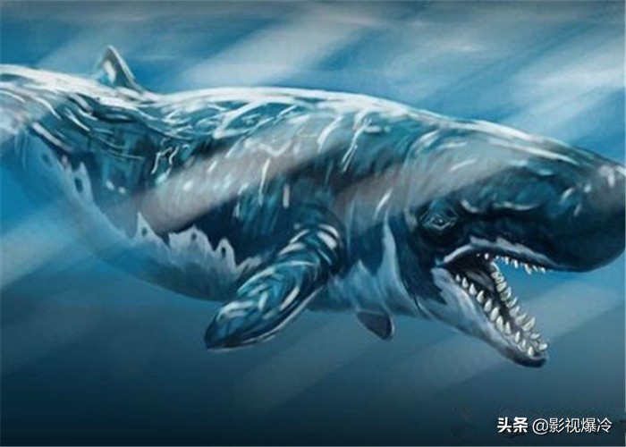 这3种史前生物如果没有灭绝，人类谁敢进入海洋