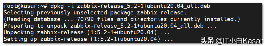 放弃CentOS转战ubuntu~Zabbix5.2安装指南