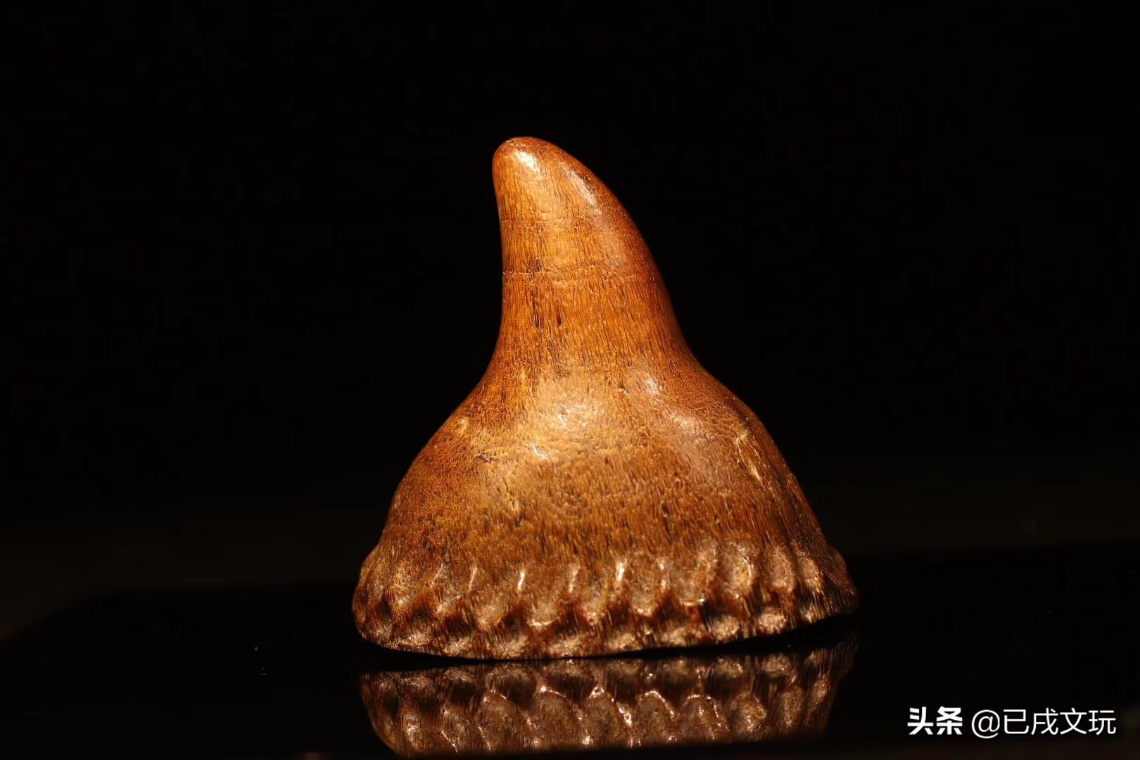 How much does a genuine old rhino horn cost per gram? iMedia