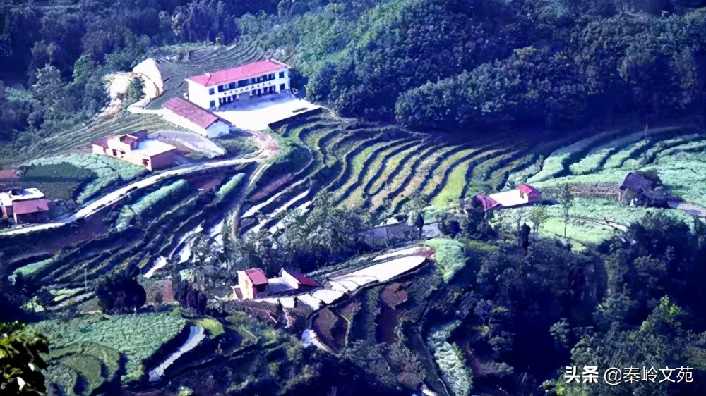 周志峰：印象紫陽(yáng)