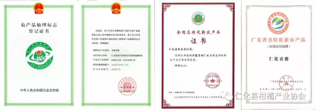 不看不知道!原来丹霞贡柑有这么多秘密!你吃对了吗?