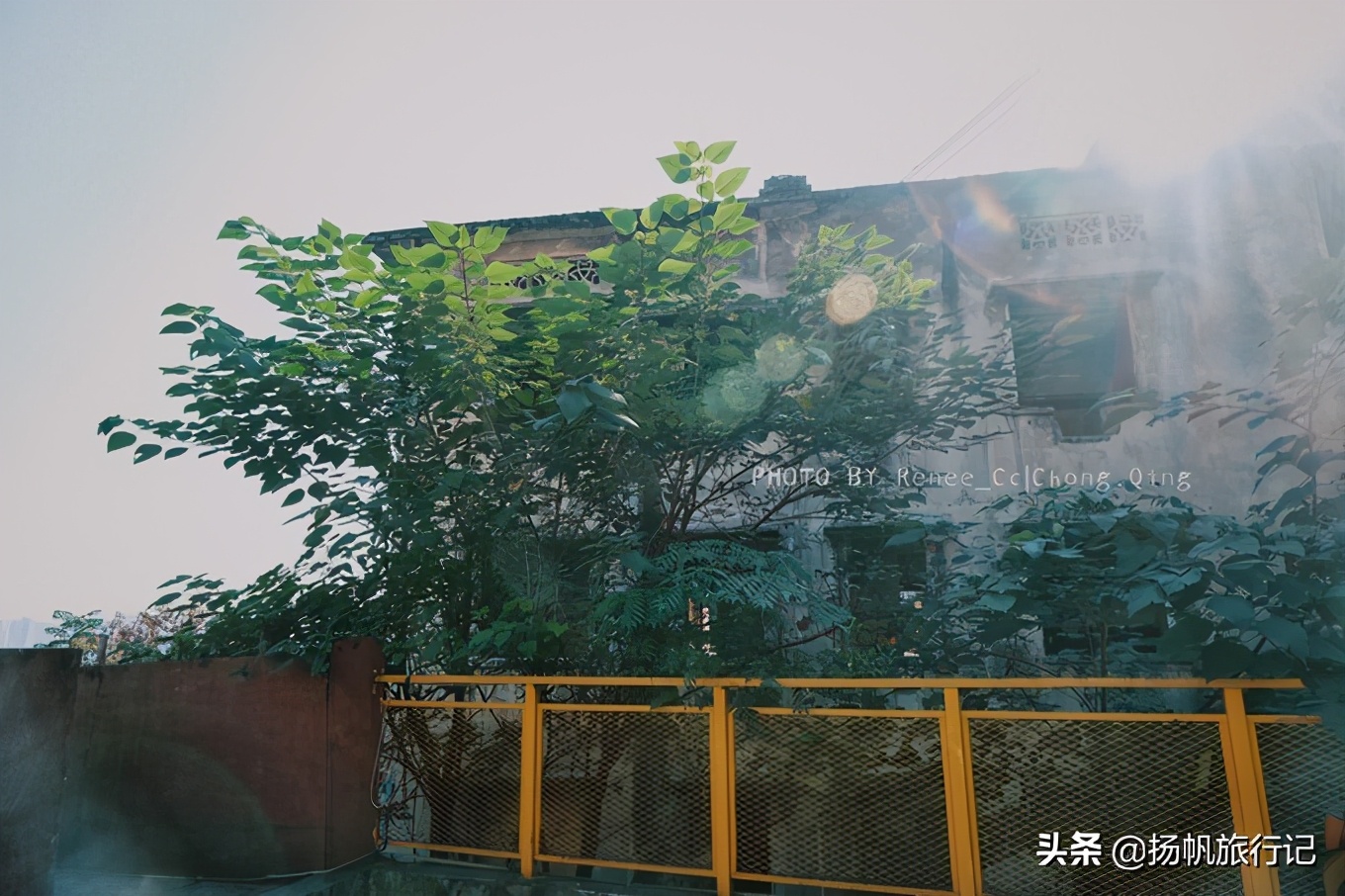 去重庆，除了洪崖洞、解放碑，还有这些你不知道的隐秘打卡点