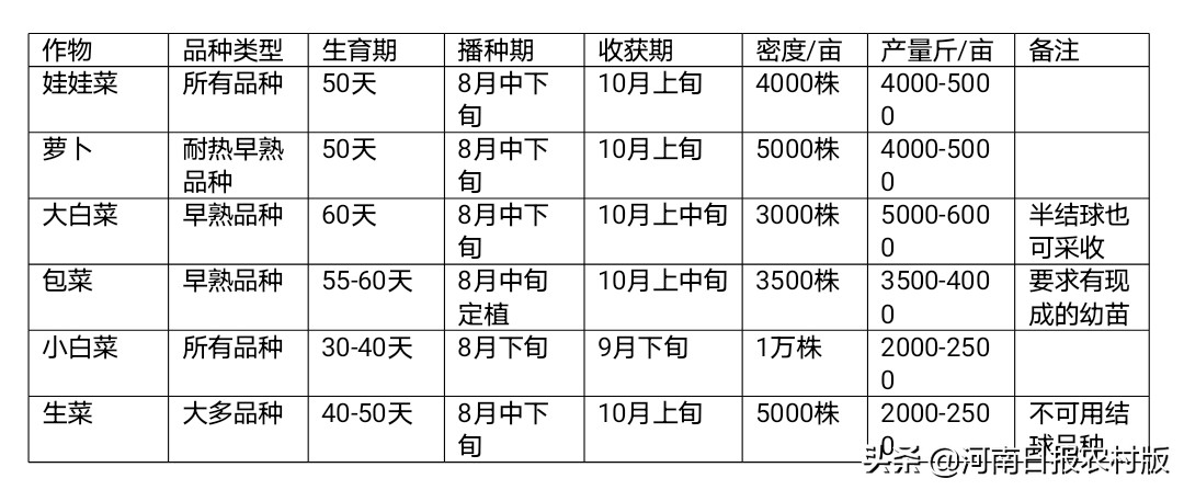河南农业大学教授孙治强：受淹农田怎么办？科学改种促增收