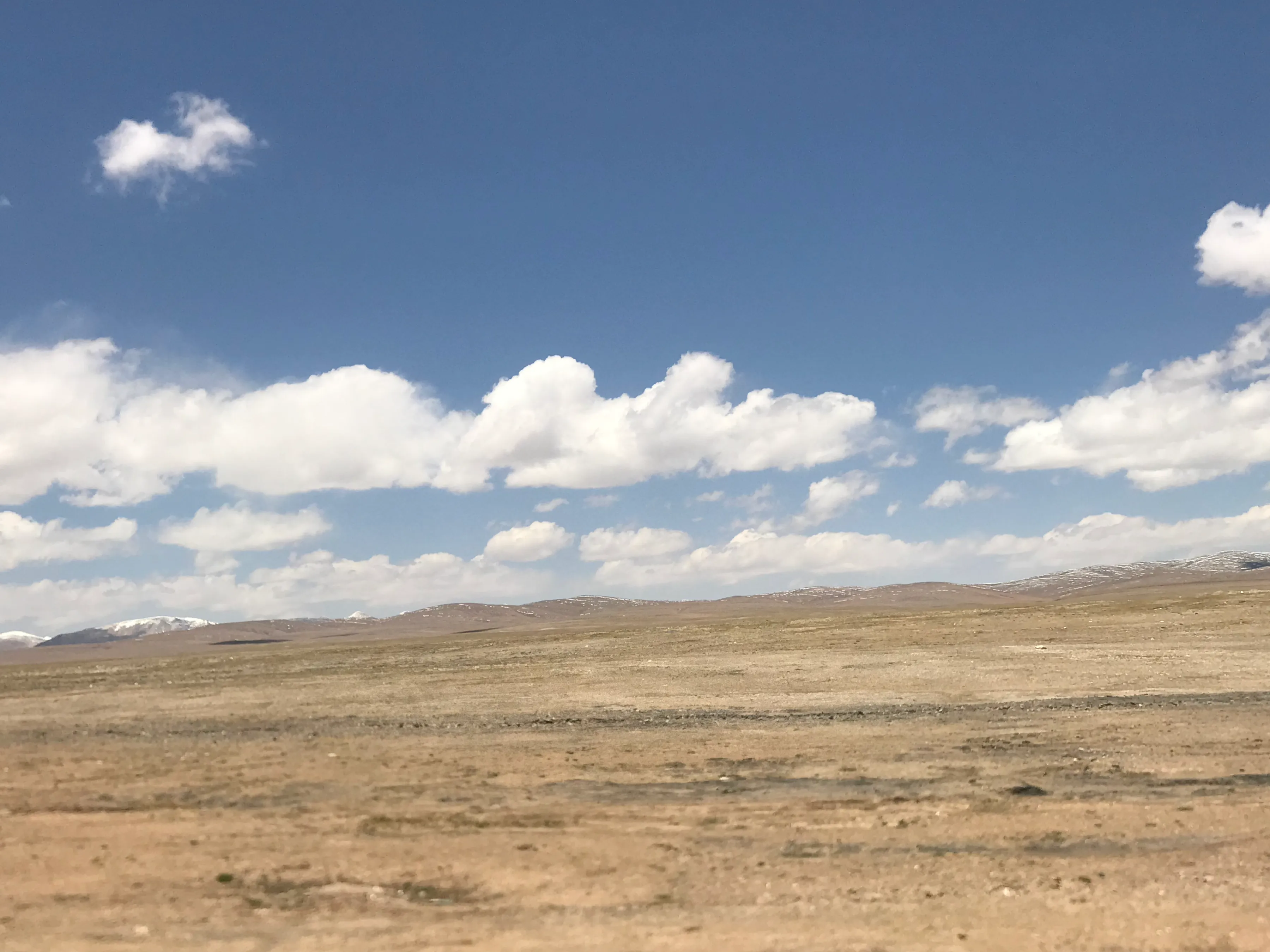 Colorful Qaidam (6) Golmud