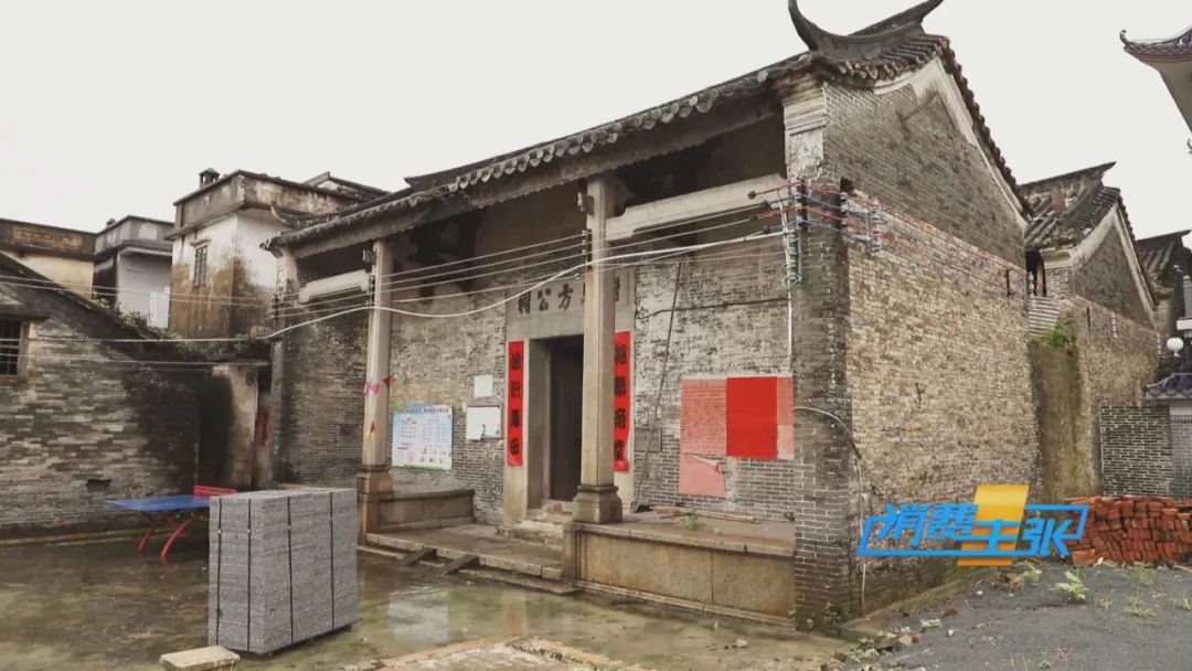 端午佳节粽飘香！来湖南、广东，品粽子，感受