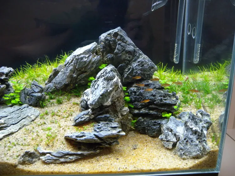 水草造景 45cm青龍石小缸造景過程分享 資訊咖