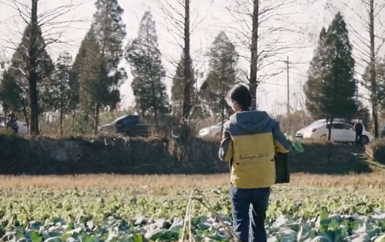 33岁赵丽颖下地干活，直接跪地挖菜太卖力，满面笑容状态佳