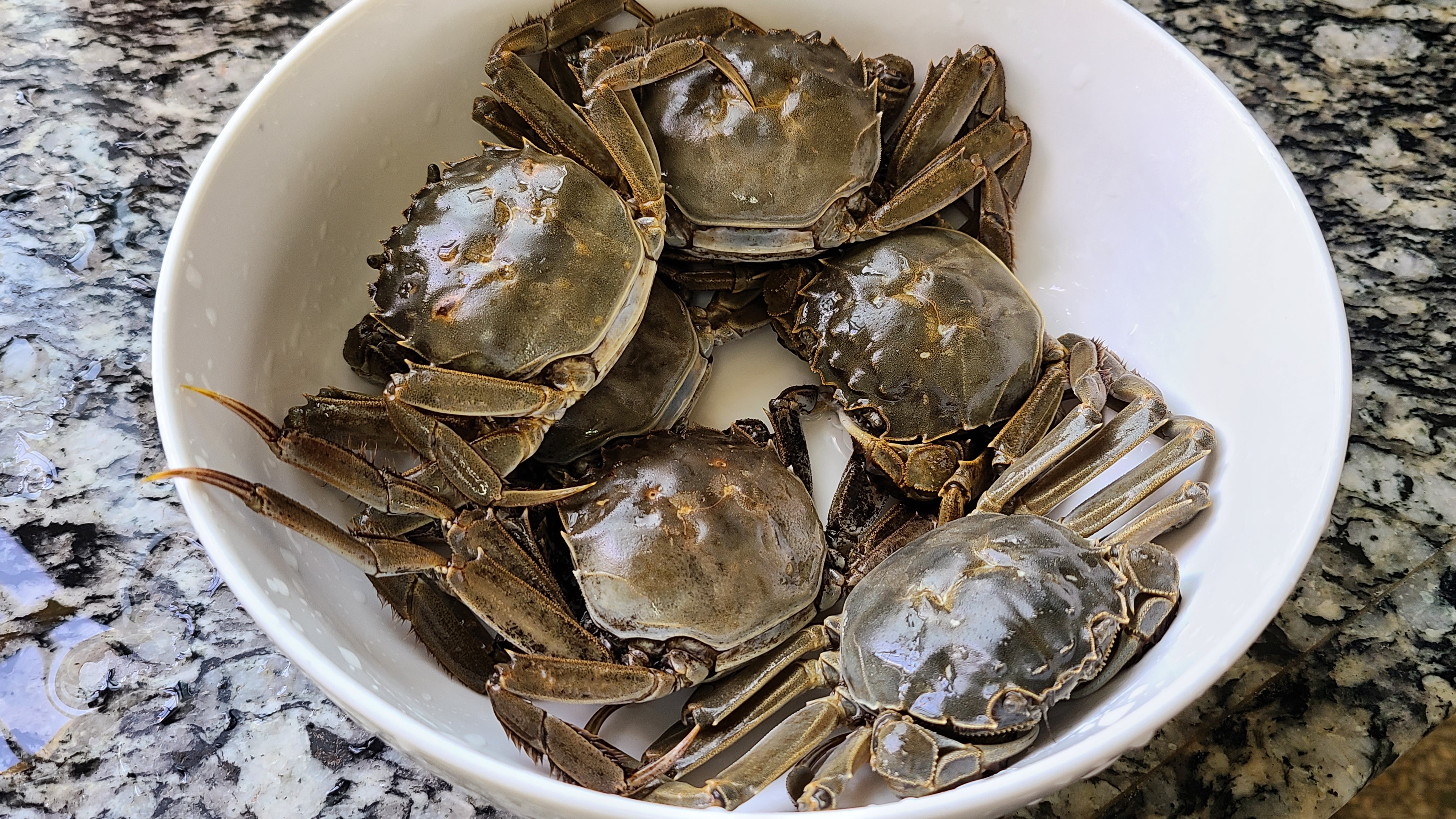 廣東焗螃蟹的做法，簡單好吃香味濃，滿滿的蟹黃看著就饞