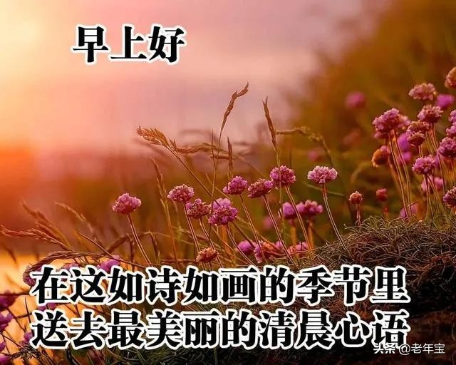 最新週三早上好表情圖片週三早上好問候語圖片