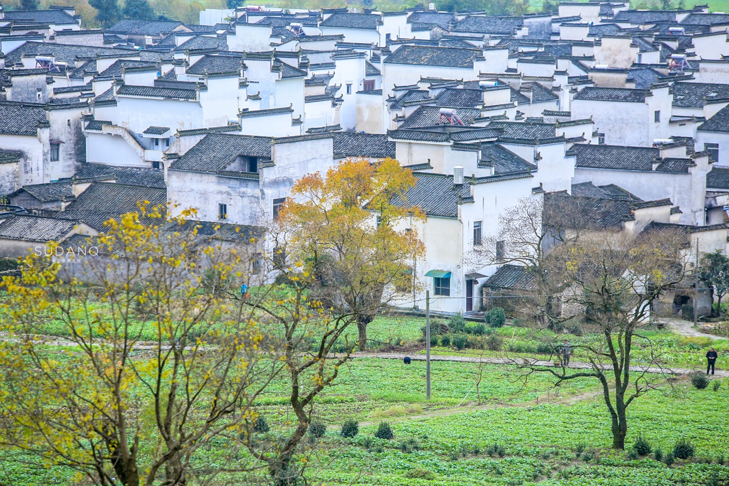 “中国画里乡村”在哪里？安徽这个地方一到秋天，令人如痴如醉