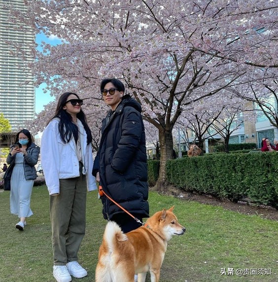 Chen Kun son doubt love of 19 years old, with long hair the belle walks a dog see oriental cherry, sweetness exceeds to inspecting sweet