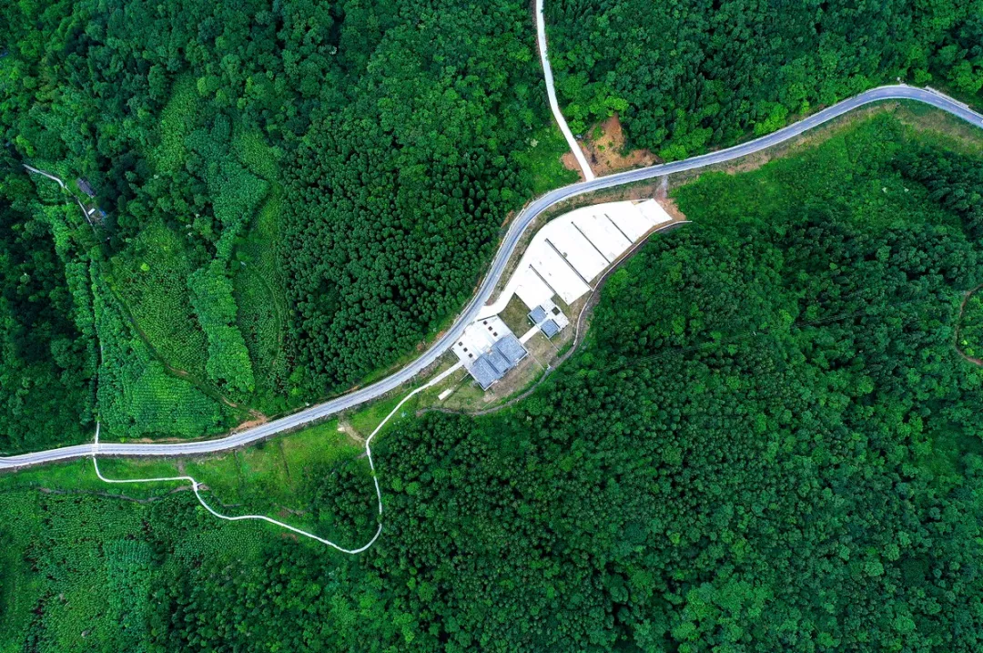 藏不住啦！首屆月壩美食節，開啟你的長假嗨模式