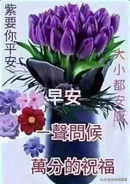 早安让人看了舒服的句子图片图片