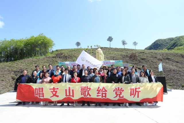 镇巴花园社区“长岭望月”茶叶品牌后面的感人故事