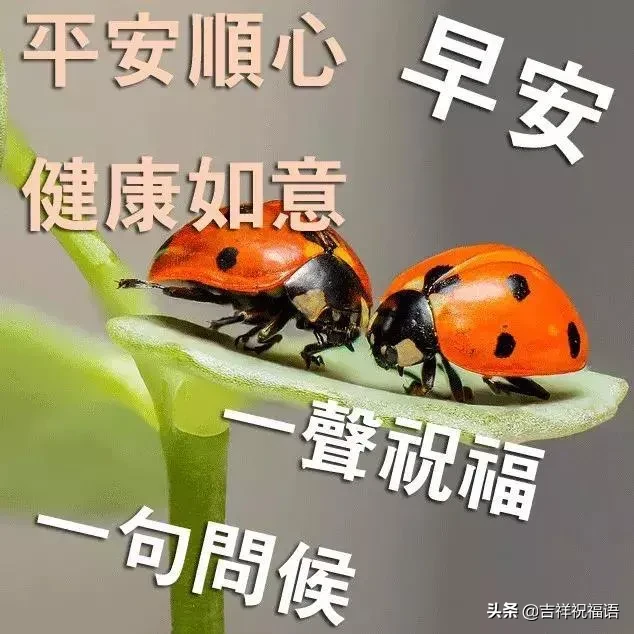 最近刚出的早上好图片 特别漂亮的早上好图片图片