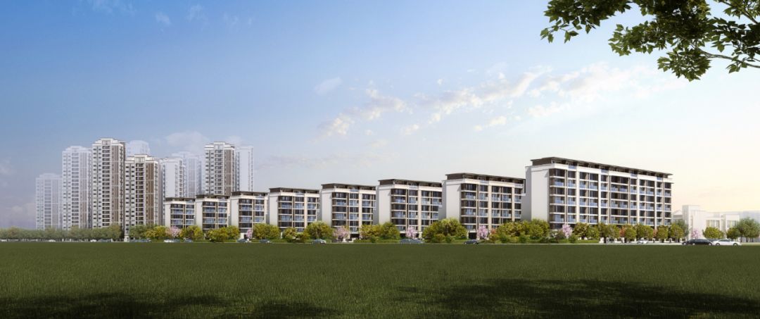 捡到宝！这个离你很近的南沙盘，仅靠口碑相传就卖火了(图20)